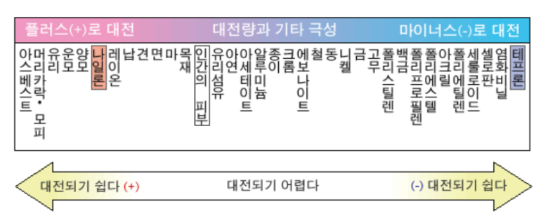 대전체